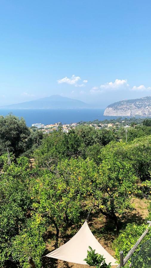 Sorrento Studios Lemons Hill Eksteriør billede