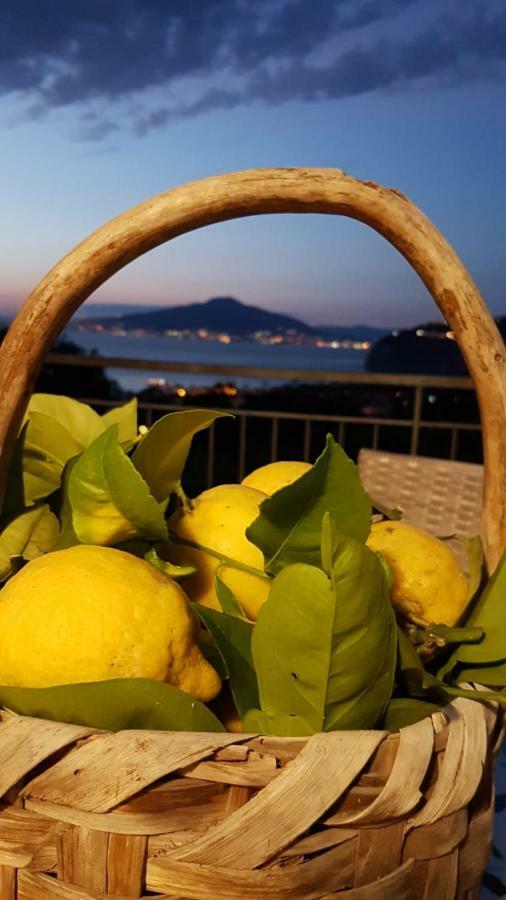 Sorrento Studios Lemons Hill Eksteriør billede